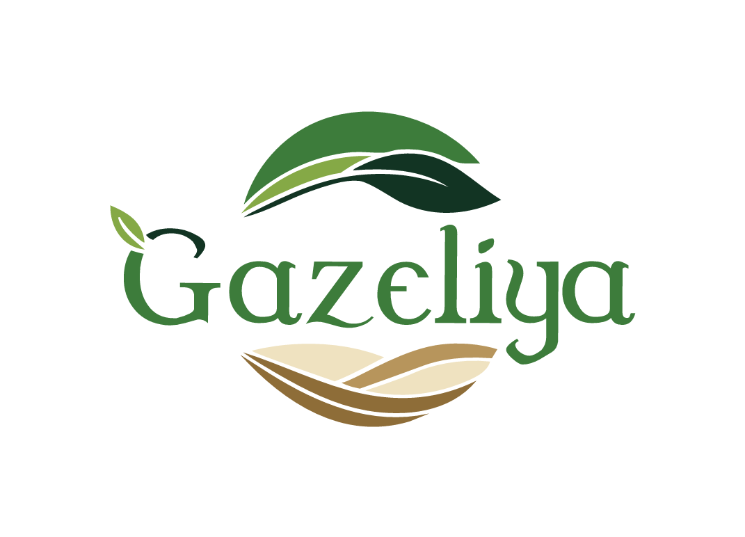 logo-icon